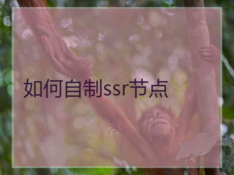 如何自制ssr节点