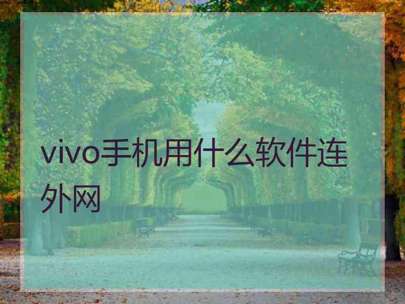 vivo手机用什么软件连外网