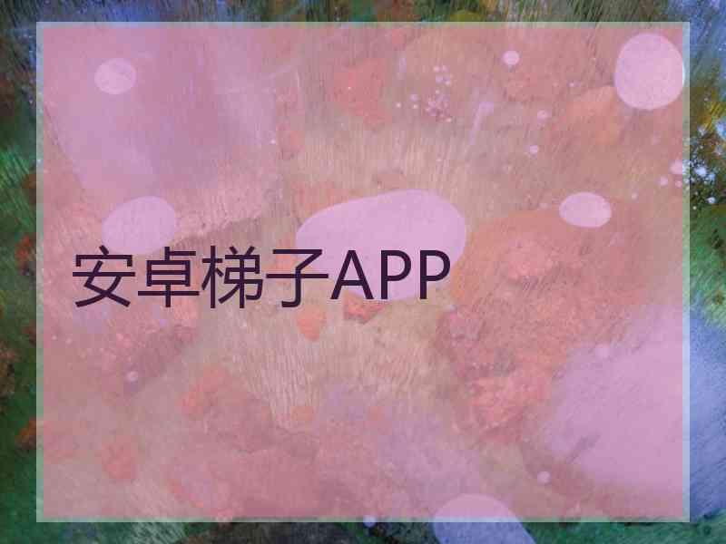 安卓梯子APP