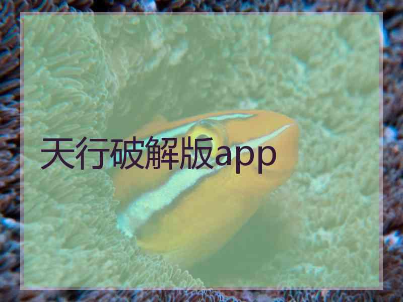 天行破解版app