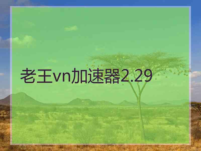 老王vn加速器2.29