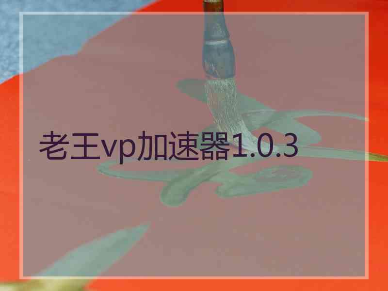 老王vp加速器1.0.3