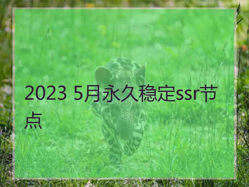 2023 5月永久稳定ssr节点