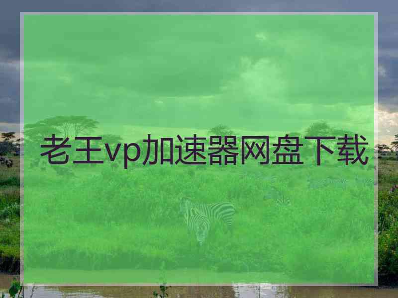 老王vp加速器网盘下载