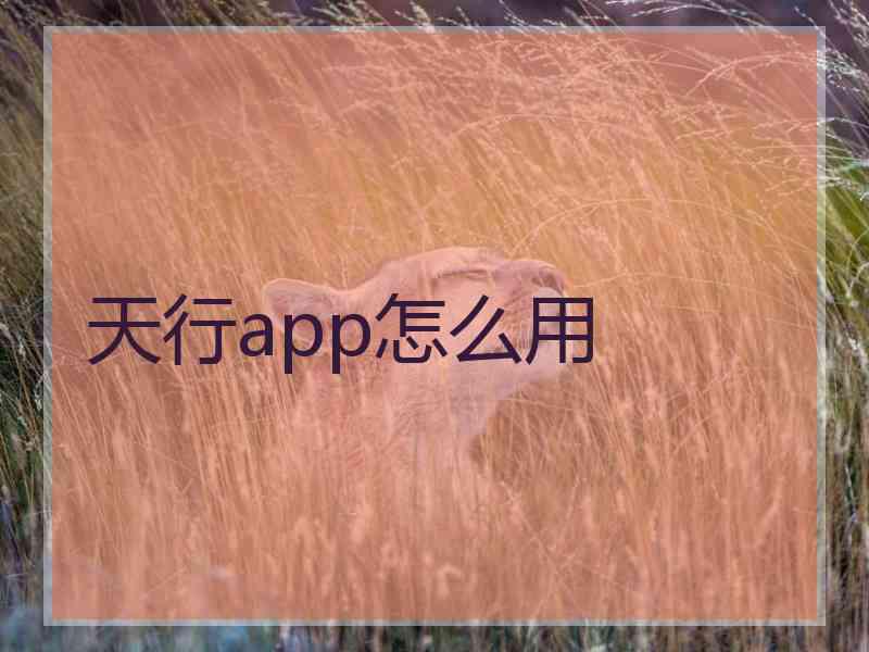 天行app怎么用