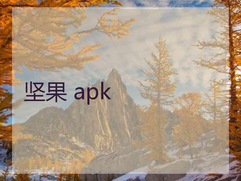 坚果 apk