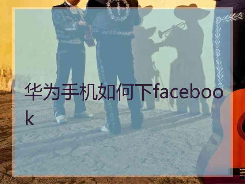 华为手机如何下facebook