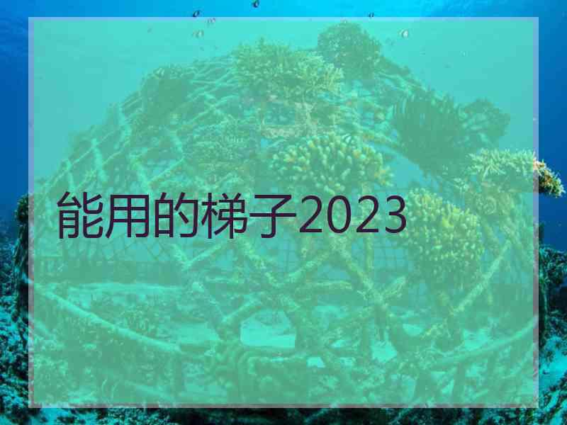 能用的梯子2023