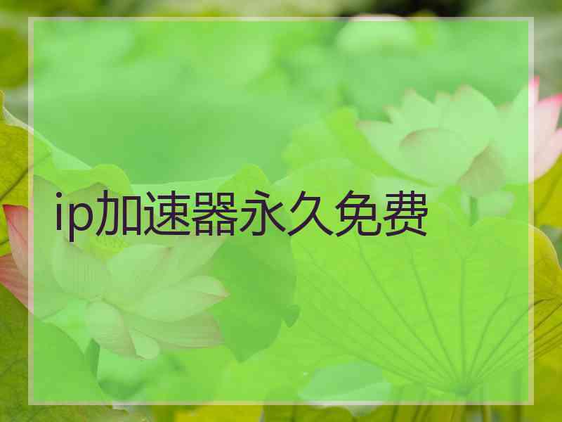 ip加速器永久免费