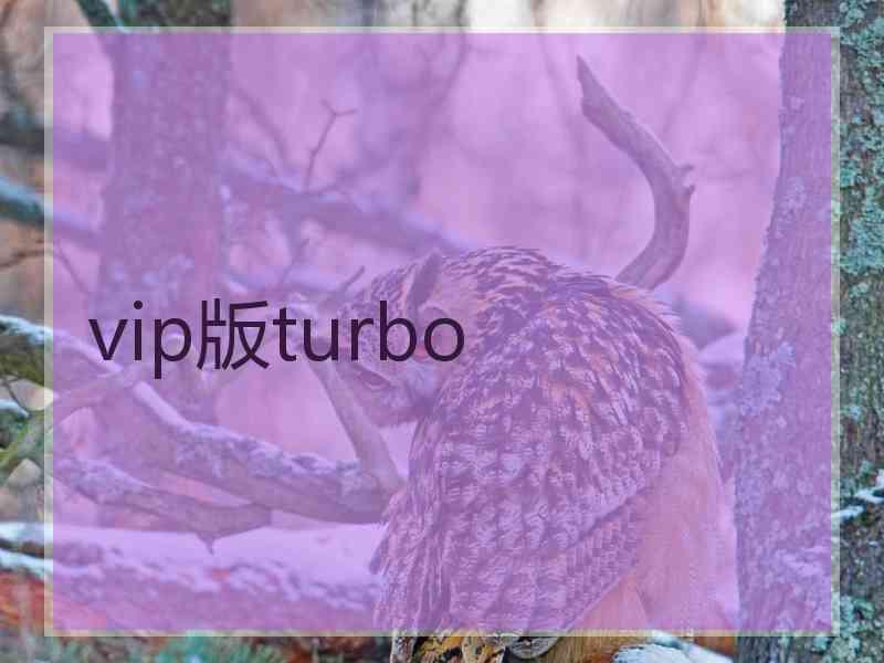 vip版turbo