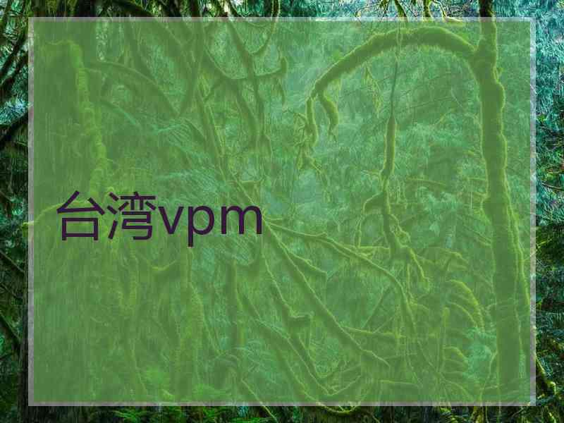 台湾vpm