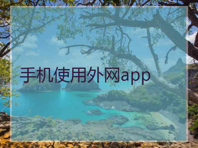 手机使用外网app