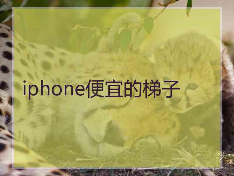 iphone便宜的梯子