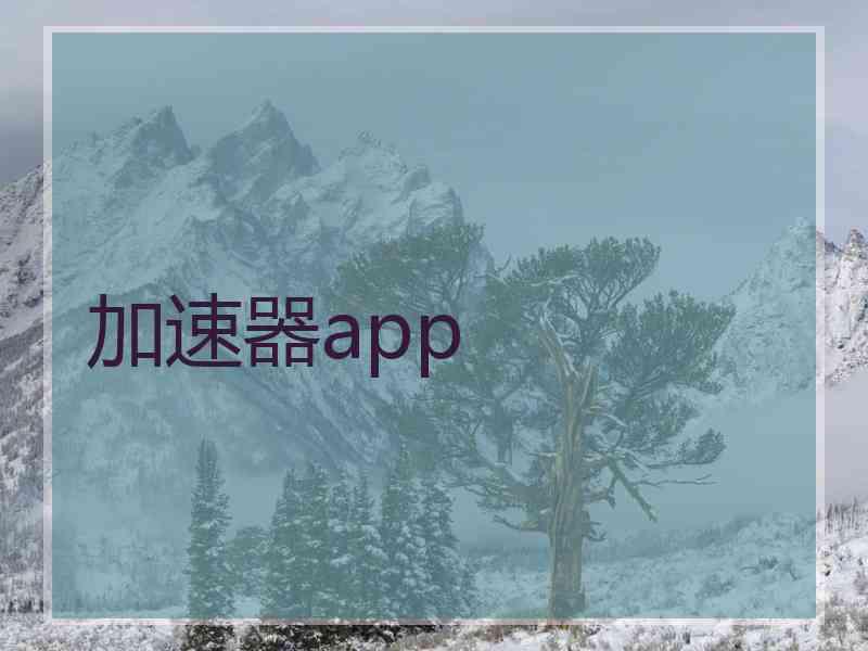 加速器app