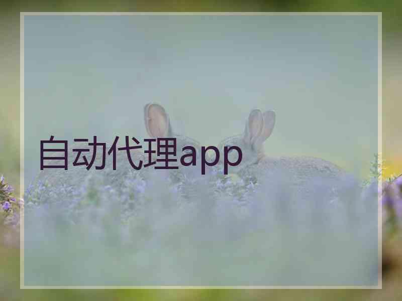 自动代理app