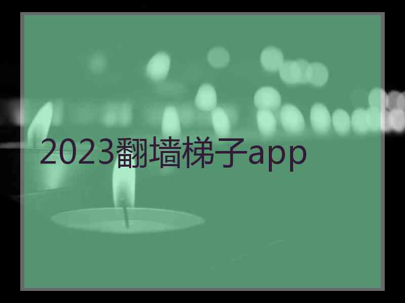 2023翻墙梯子app