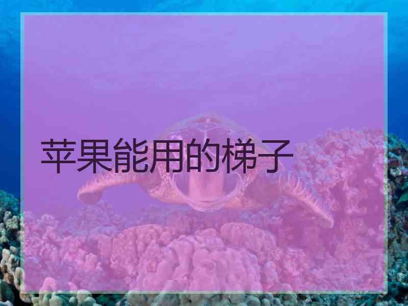 苹果能用的梯子