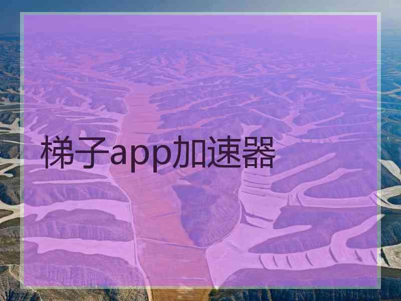 梯子app加速器