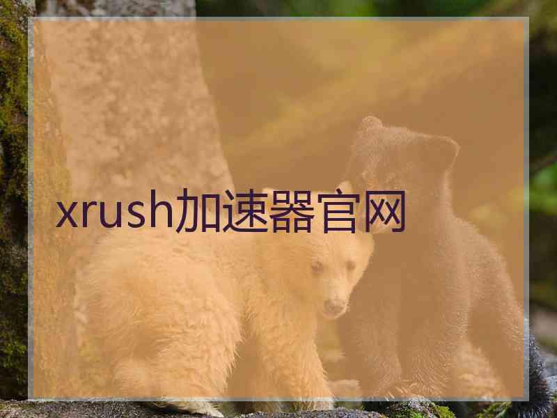 xrush加速器官网