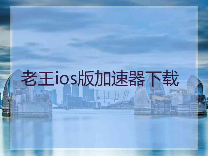 老王ios版加速器下载