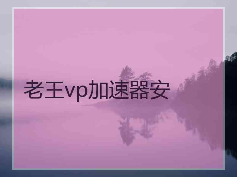 老王vp加速器安