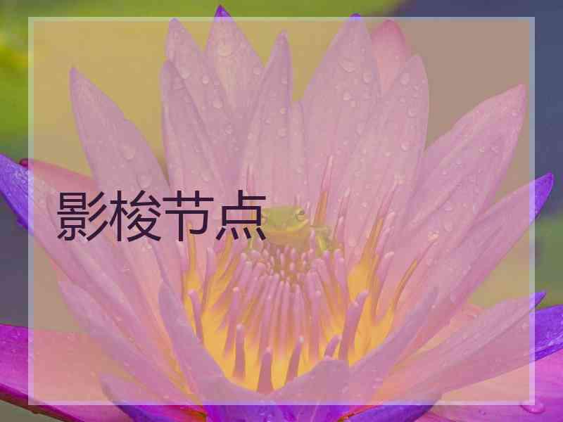 影梭节点