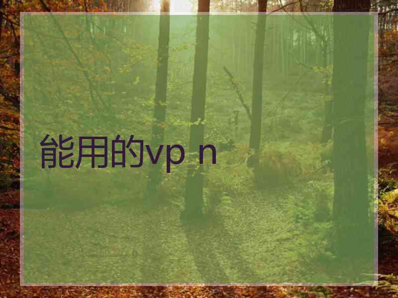 能用的vp n