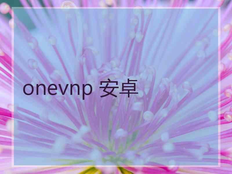 onevnp 安卓