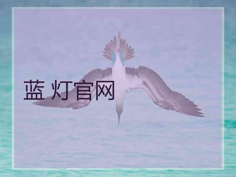 蓝 灯官网