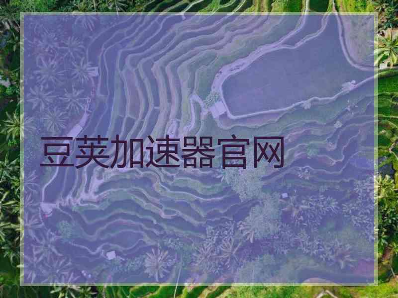 豆荚加速器官网