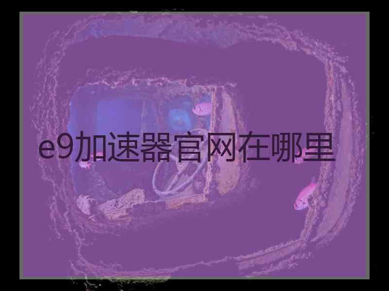 e9加速器官网在哪里