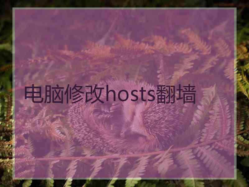 电脑修改hosts翻墙