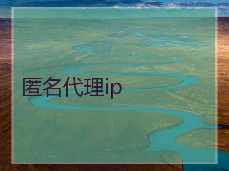 匿名代理ip