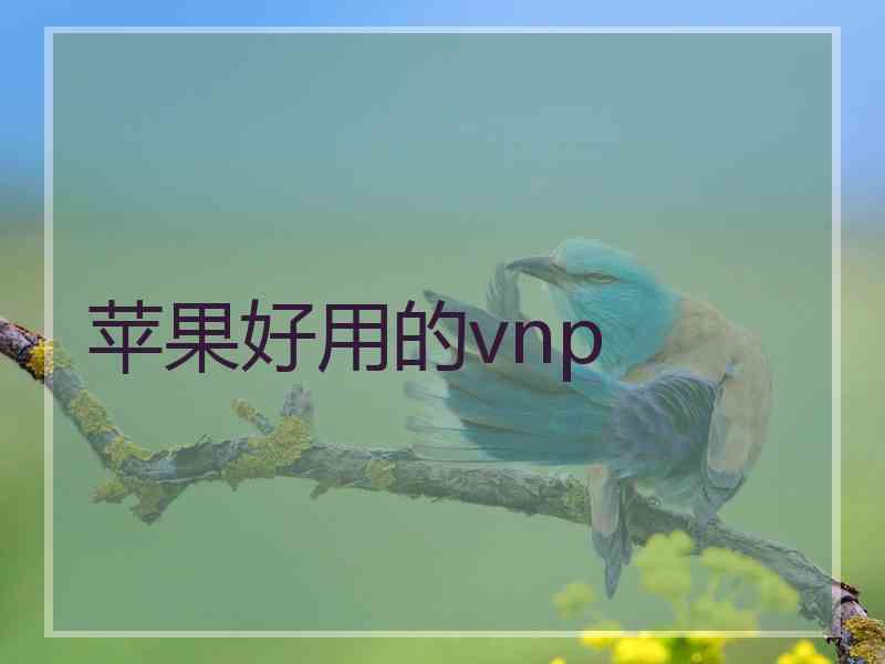 苹果好用的vnp