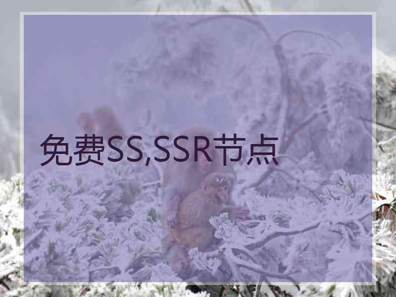 免费SS,SSR节点