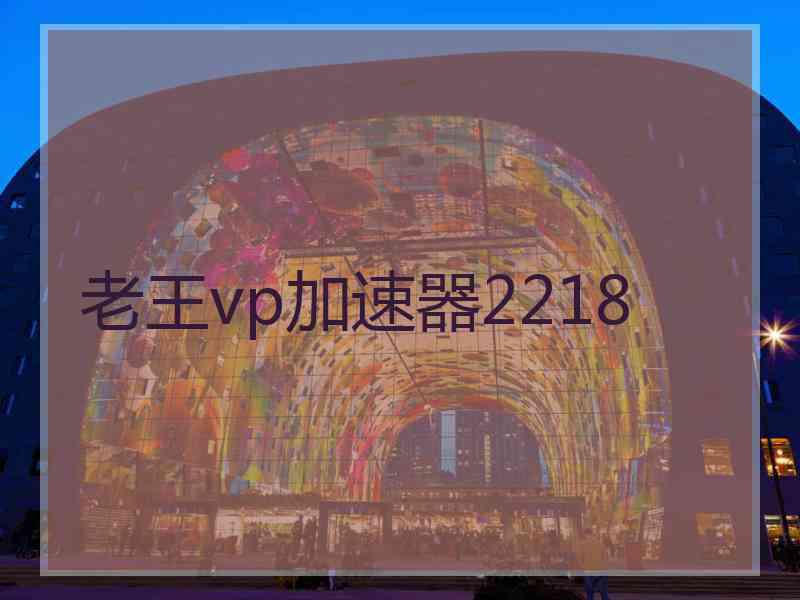 老王vp加速器2218