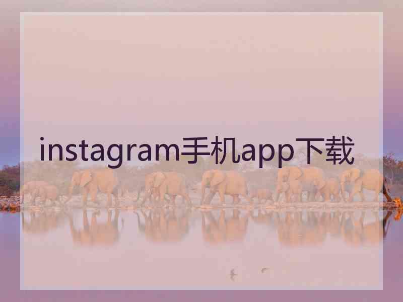 instagram手机app下载